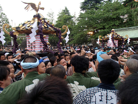 令和三年 21年 三社祭 浅草くらぶ